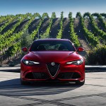 【画像】 〜 画像35