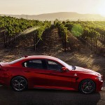 【画像】 〜 画像37