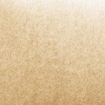 【画像】 〜 画像19