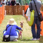 【画像】集うも集ったり1108台！　富士の麓にカングーが大集合！ 〜 画像9