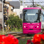 【画像】【今さら聞けない】日本の車道が左側通行の理由とは 〜 画像1