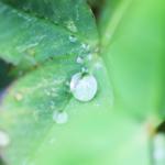 【画像】【注意】雨模様の日は危険が増大する「降り始め」の運転に注意 〜 画像4