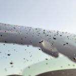 【画像】4月28日は洗車の日！　洗車は愛車メンテの第一歩 〜 画像13