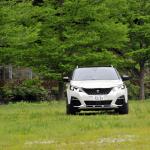 【画像】【試乗】プジョー3008はFFでもオフロードまでこなせるマルチSUV 〜 画像18