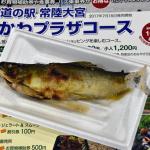 【画像】「名物を食して名産品を買う」道の駅を楽しまずしてドライブ旅は語れない 〜 画像8