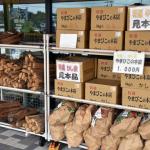 【画像】「名物を食して名産品を買う」道の駅を楽しまずしてドライブ旅は語れない 〜 画像9