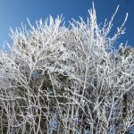 【画像】週末だけの探検家！　三菱が提案する「雲海探し」が想像以上に面白い 〜 画像56