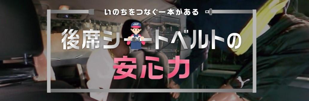 後席シートベルト 〜 画像4