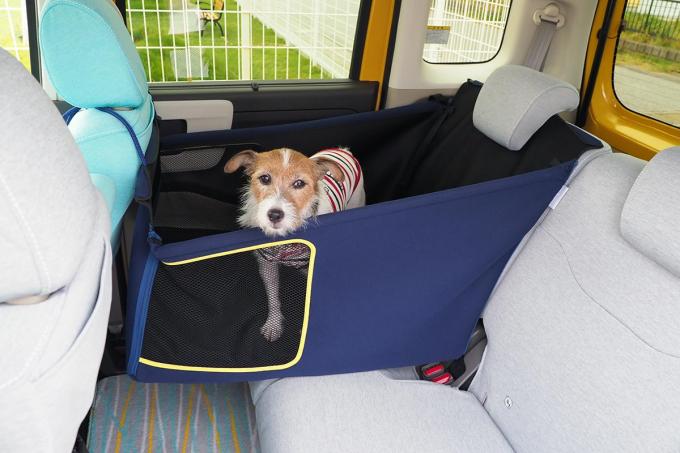 愛犬家でも知らない本当に安全 快適な愛犬とのドライブ術 自動車情報 ニュース Web Cartop