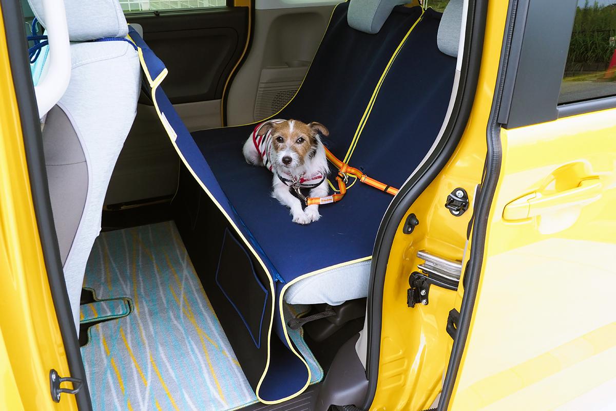 愛犬との正しいドライブ 〜 画像13