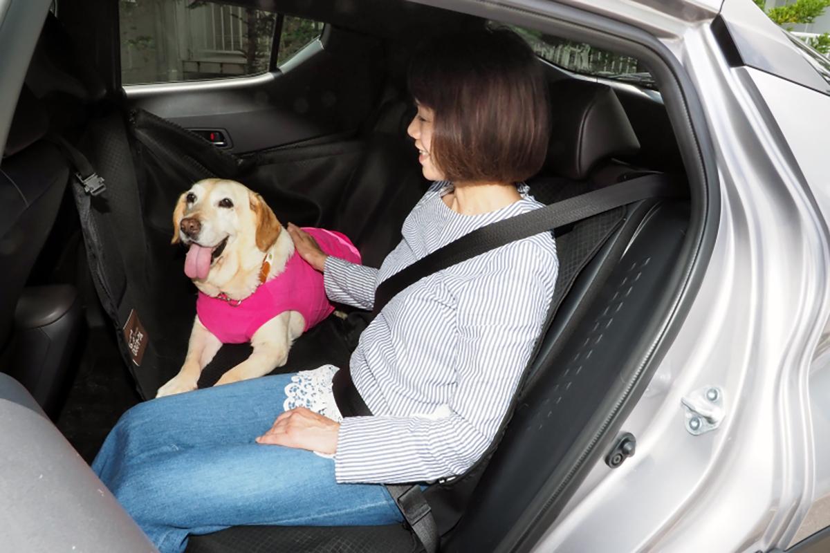 愛犬との正しいドライブ 〜 画像7