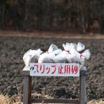 【画像】雪道の道路脇に見かける箱に入った「砂」の使い方とは 〜 画像1