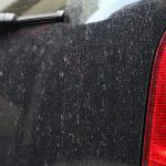 【画像】雨が降った直後にキレイな水をかけておけば洗車しなくても大丈夫か？ 〜 画像4