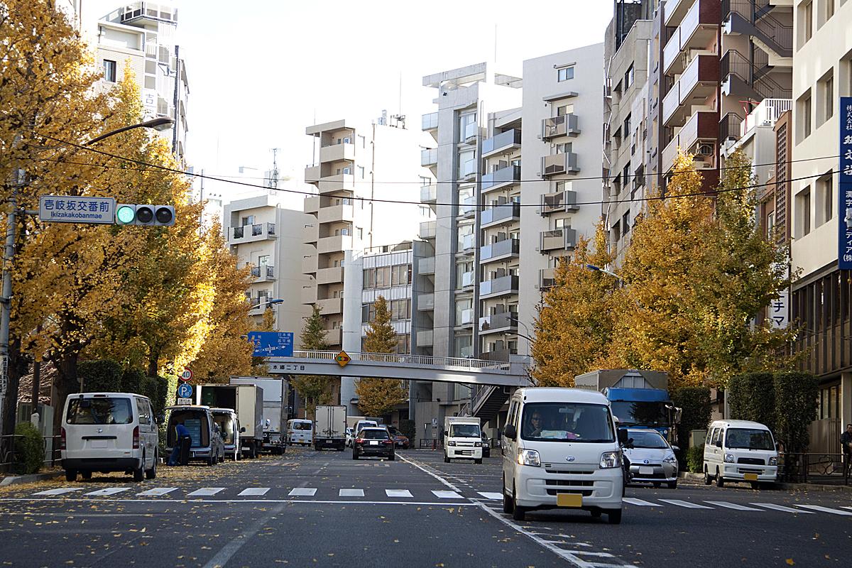 日本人の運転技量 〜 画像6