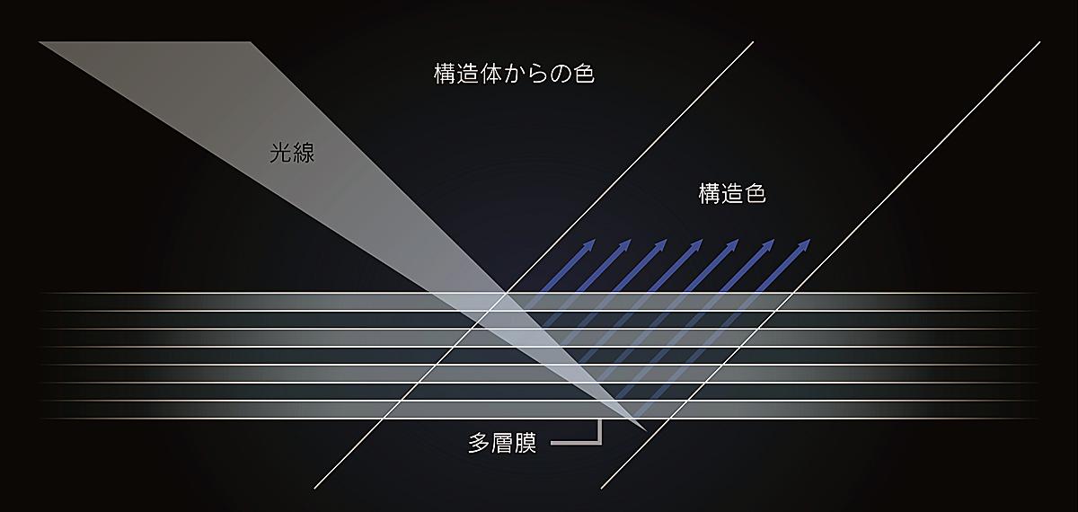 レクサスLC500 〜 画像12