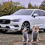 【画像】愛犬家必見！　本当にドッグフレンドリーなクルマの選び方と最新オススメ車６選 〜 画像2