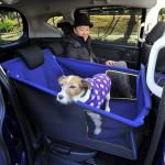 【画像】愛犬家必見！　本当にドッグフレンドリーなクルマの選び方と最新オススメ車６選 〜 画像7