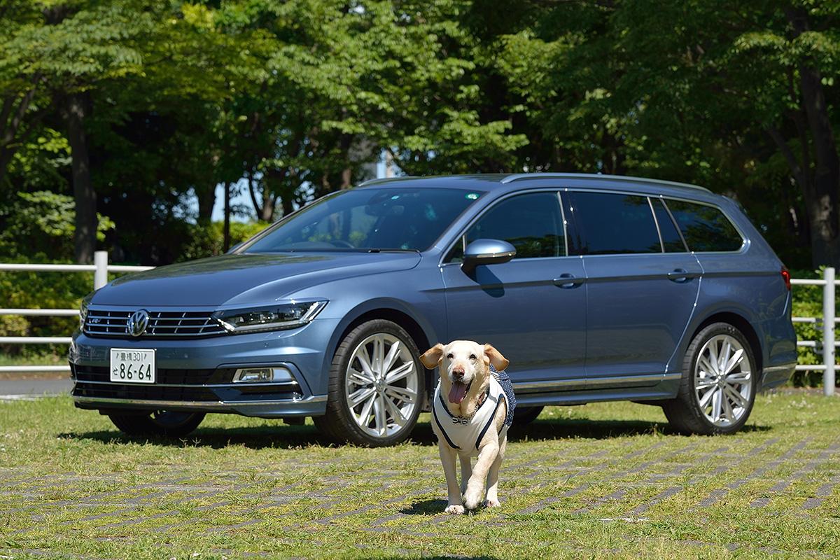 犬の車への乗せ方とは 車の選び方とおすすめ車６台 自動車情報 ニュース Web Cartop