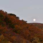 【画像】【動画あり】話題の新車で匠の技を巡る！　第1回　山形・天童の将棋の駒×マツダアテンザ 〜 画像9
