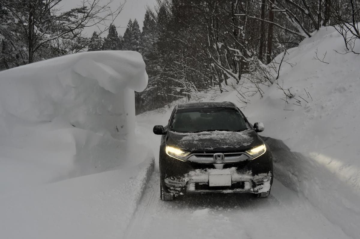 雪道