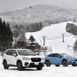 【画像】【試乗】AWDとe-BOXERは雪道でも高い安心感を披露！　スバル最新SUVを豪雪地帯で試す 〜 画像41