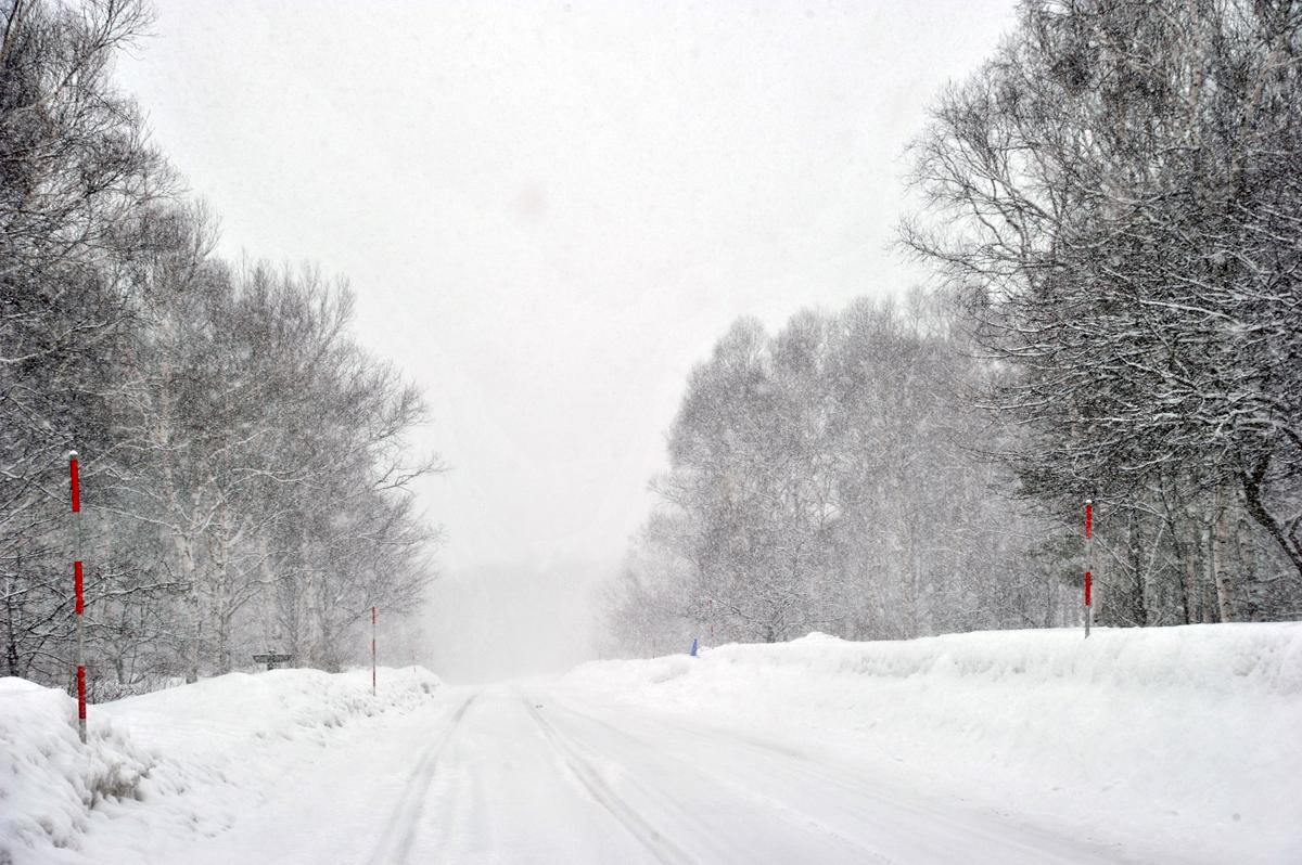 吹雪のなかを運転するときのポイント 〜 画像3