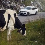 【画像】BMW X3史上初となるプラグインハイブリッド「xDrive 30e」が発売　778万円から 〜 画像22