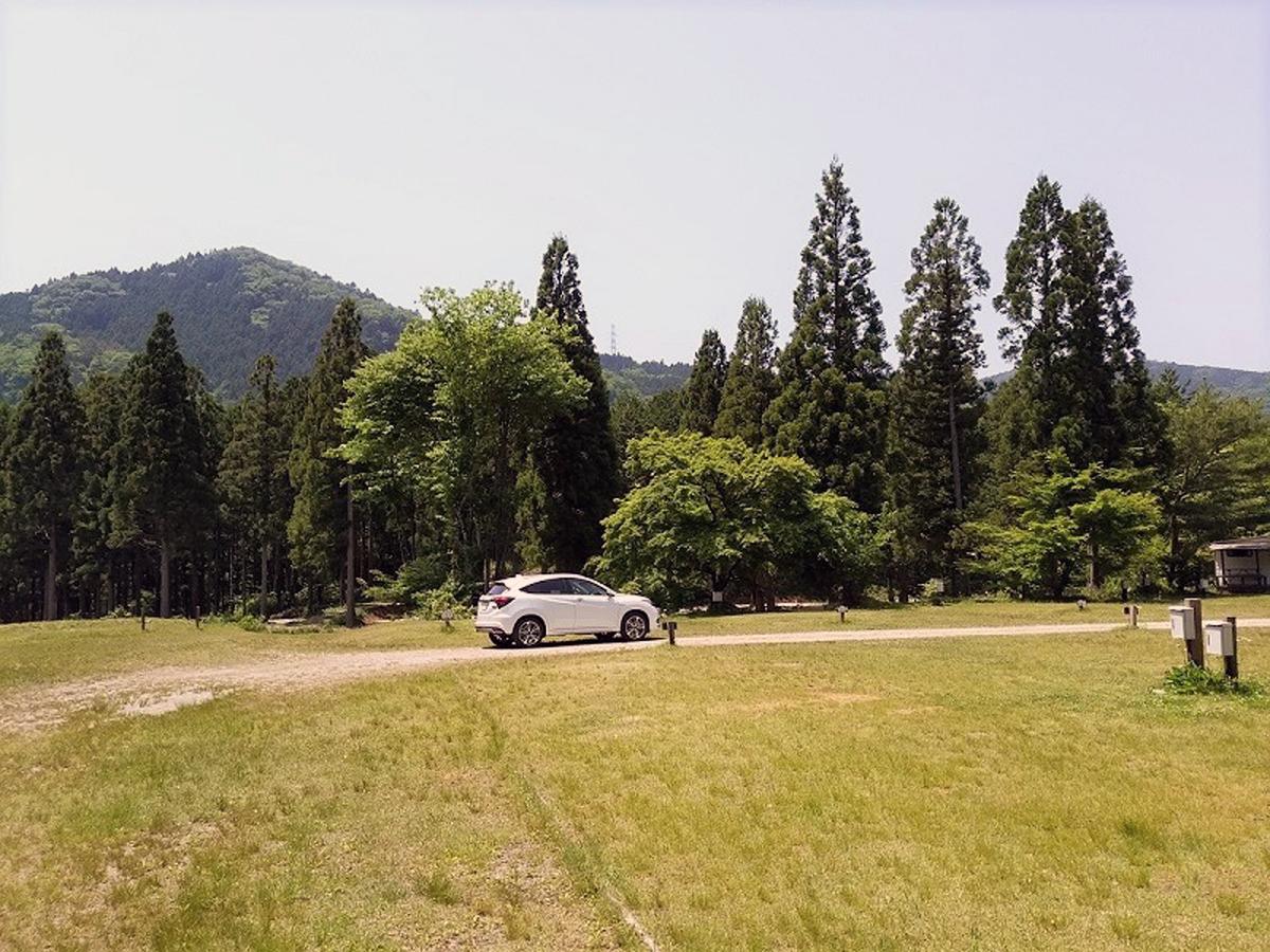 クルマでいくアウトドアの害虫対策グッズ