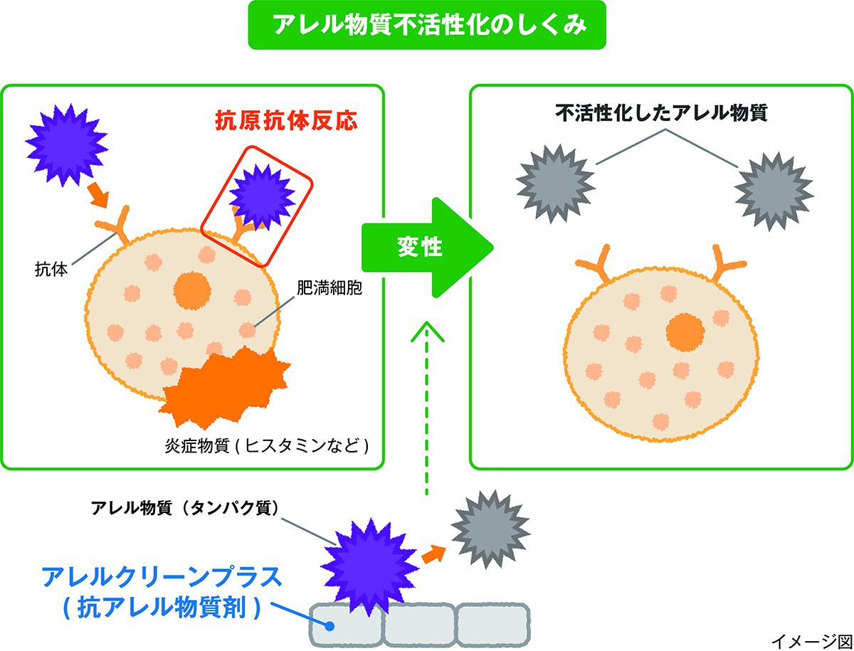 200801_webcartop_hondaseat_003 〜 画像3