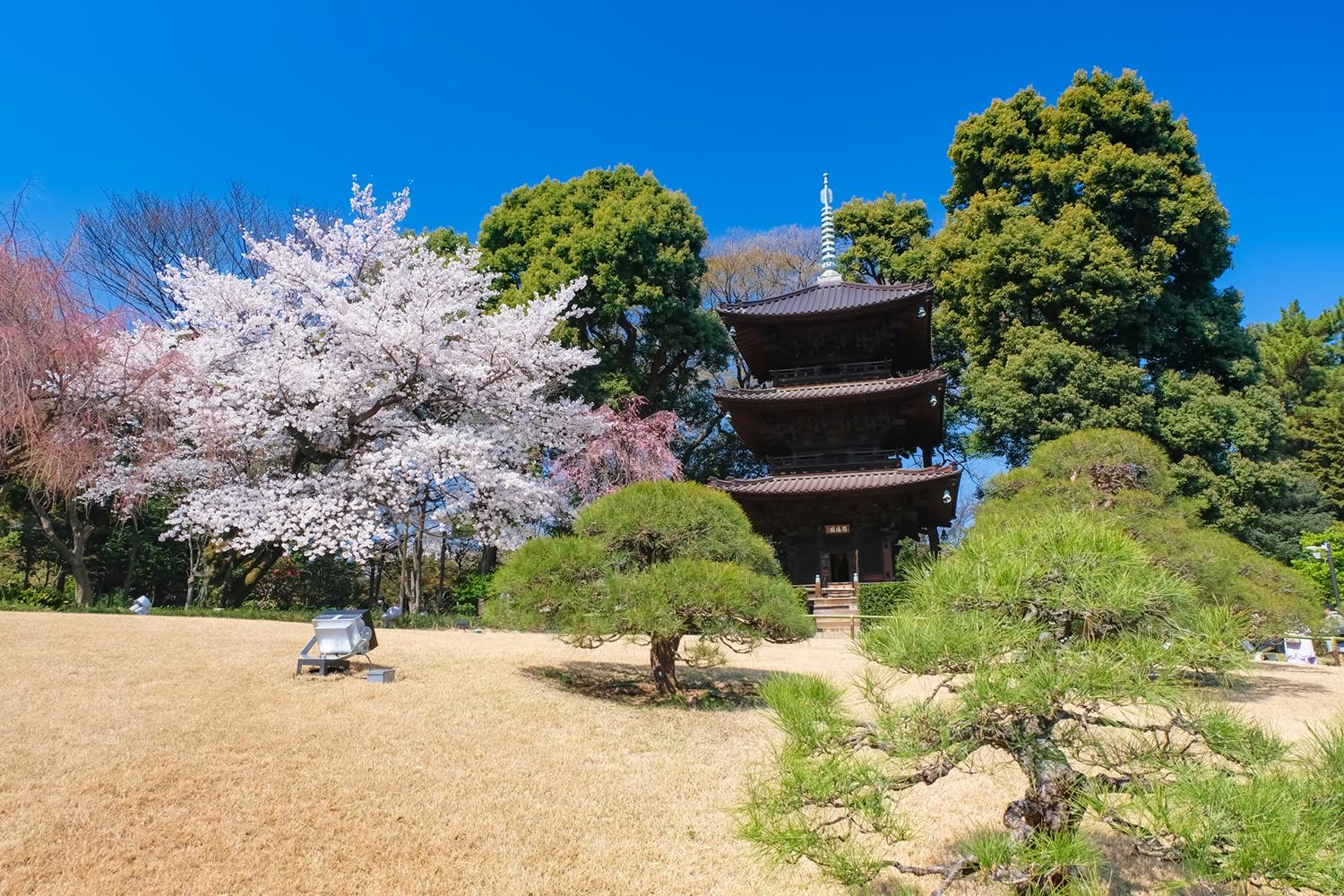 椿山荘の外観 〜 画像3