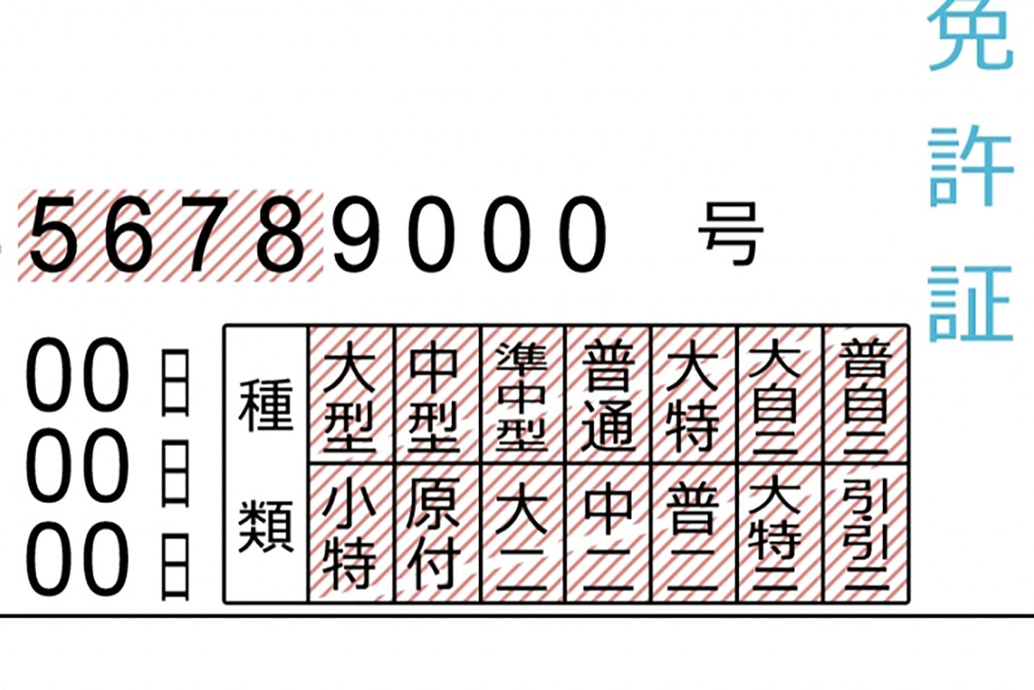 運転免許証の「種類」とは