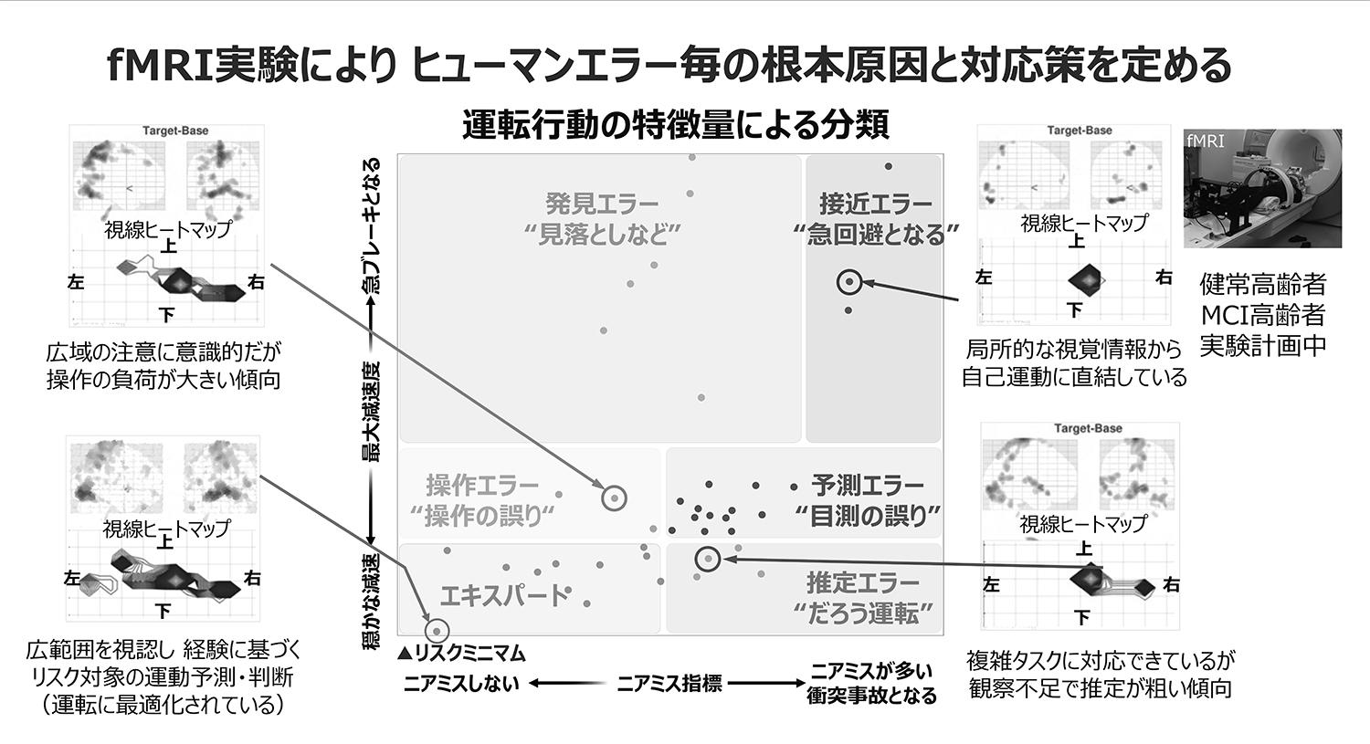 fMRI_image 〜 画像7