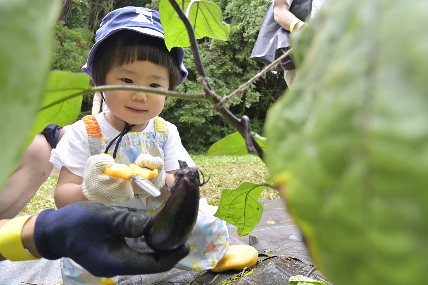 那須を収穫する参加者のお子さん 〜 画像13