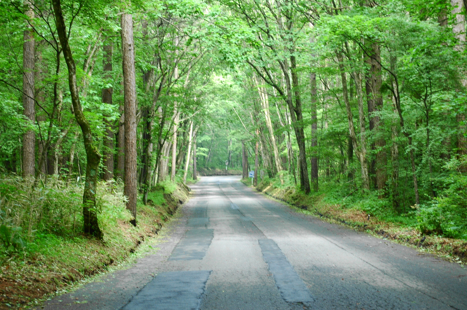 道路の轍のイメージ02