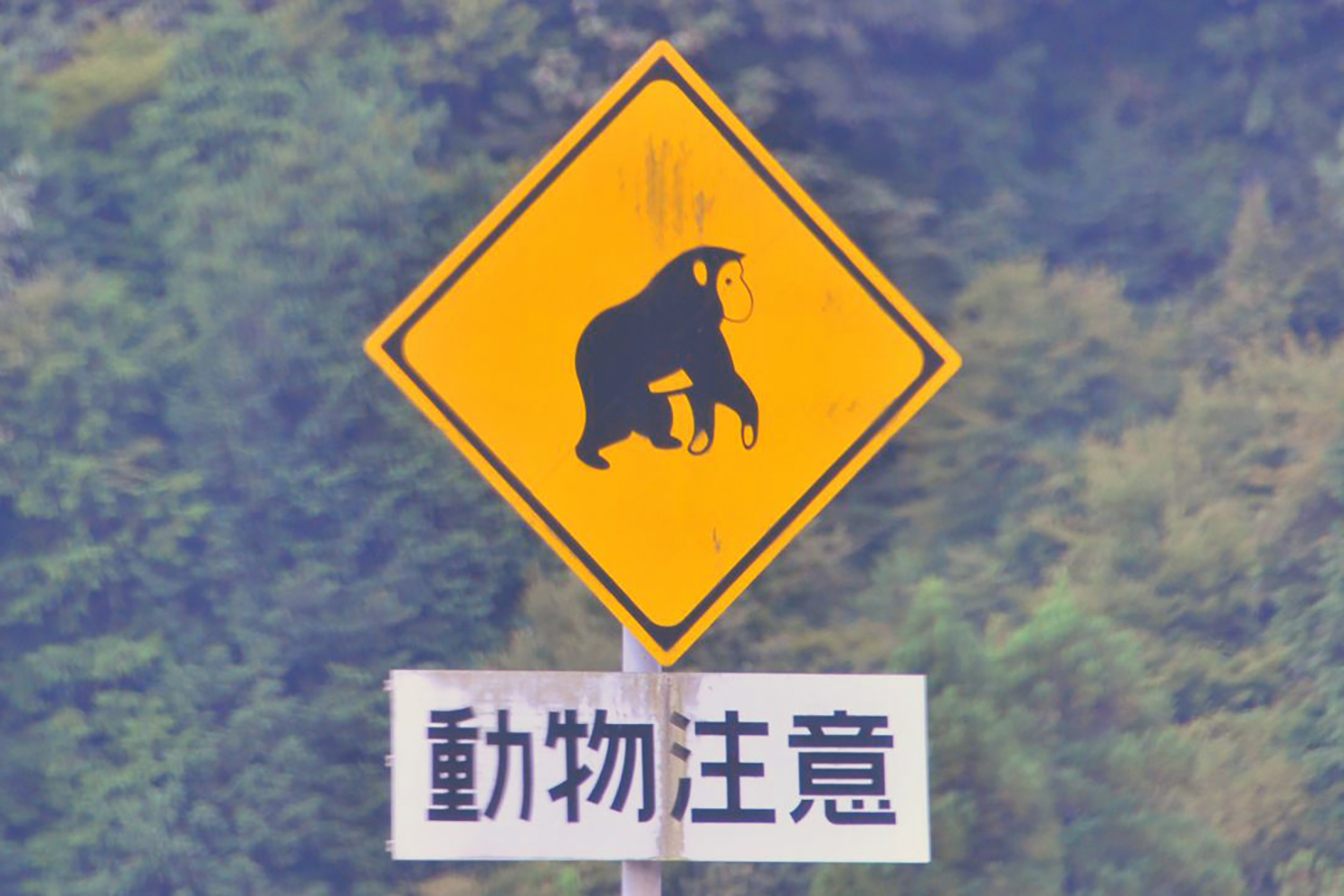 動物注意の標識
