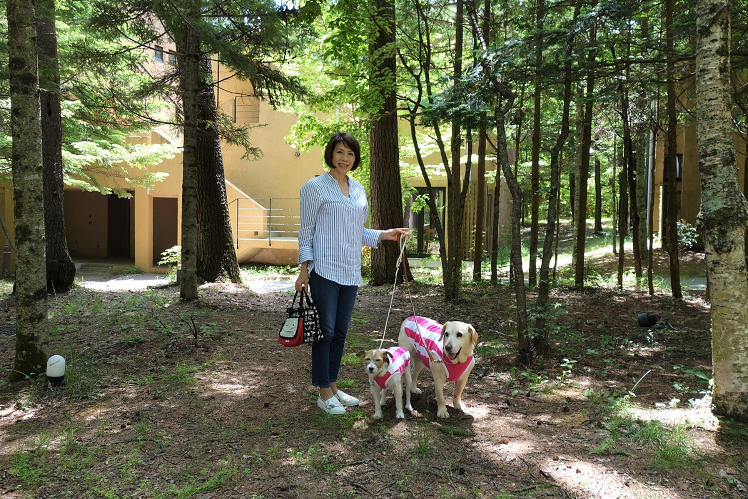 犬とお出かけしているところ