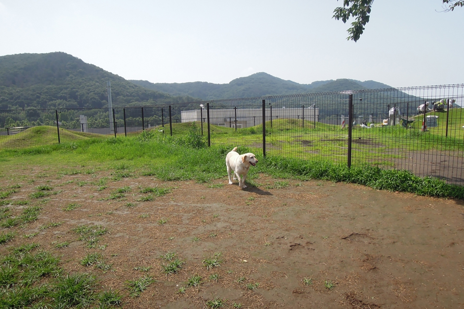 快適で安全な愛犬とのドライブの楽しみ方 〜 画像22