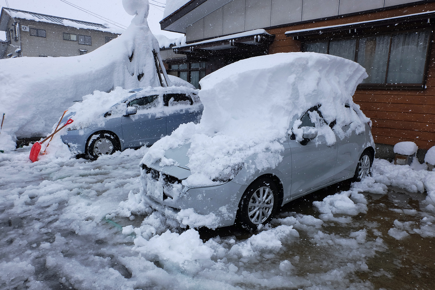 ルーフと大雪