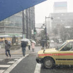 【画像】雪が降らなくても交換！　梅雨前までは履き続ける！　バスやタクシーのスタッドレスタイヤ事情 〜 画像3