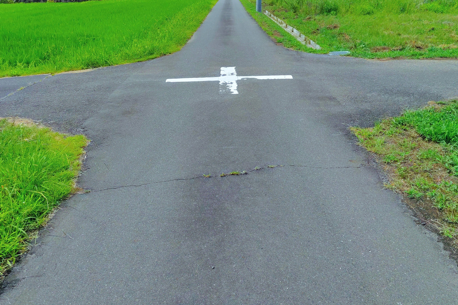 子供が頭痛を抱えている場合に注意すべき「危険信号」は何ですか?