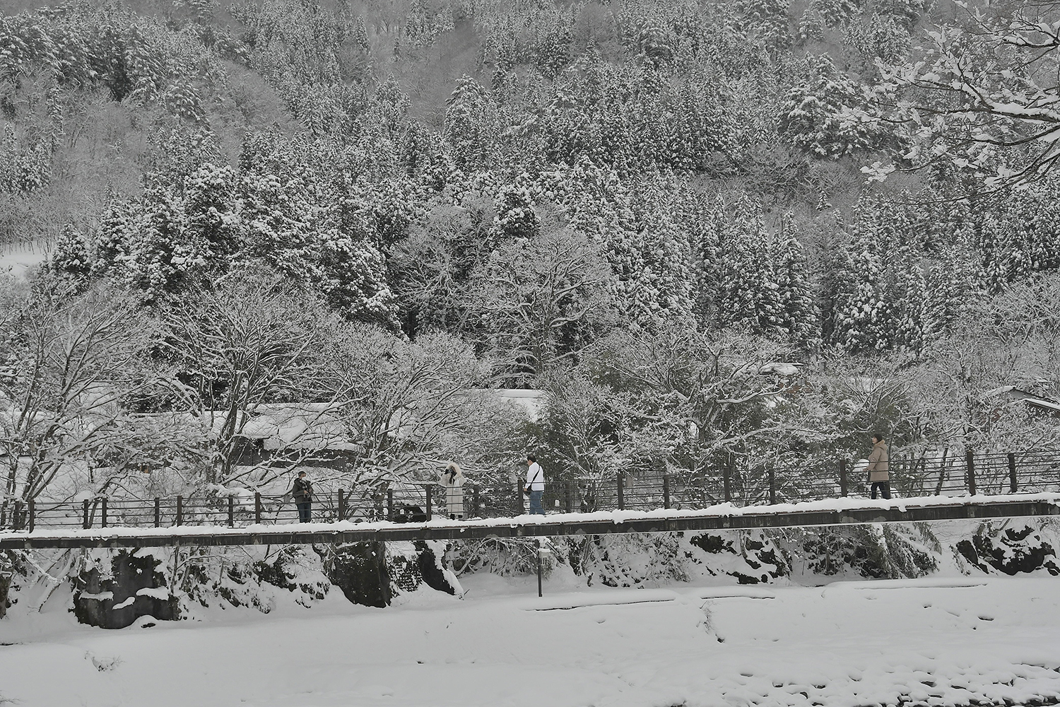 高い総合雪国性能を誇るスバル 〜 画像4