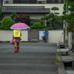 【画像】横断歩道じゃなくても妨害したら違反！　「横断歩行者妨害」とは違う「幼児等通行妨害違反」とは？ 〜 画像2