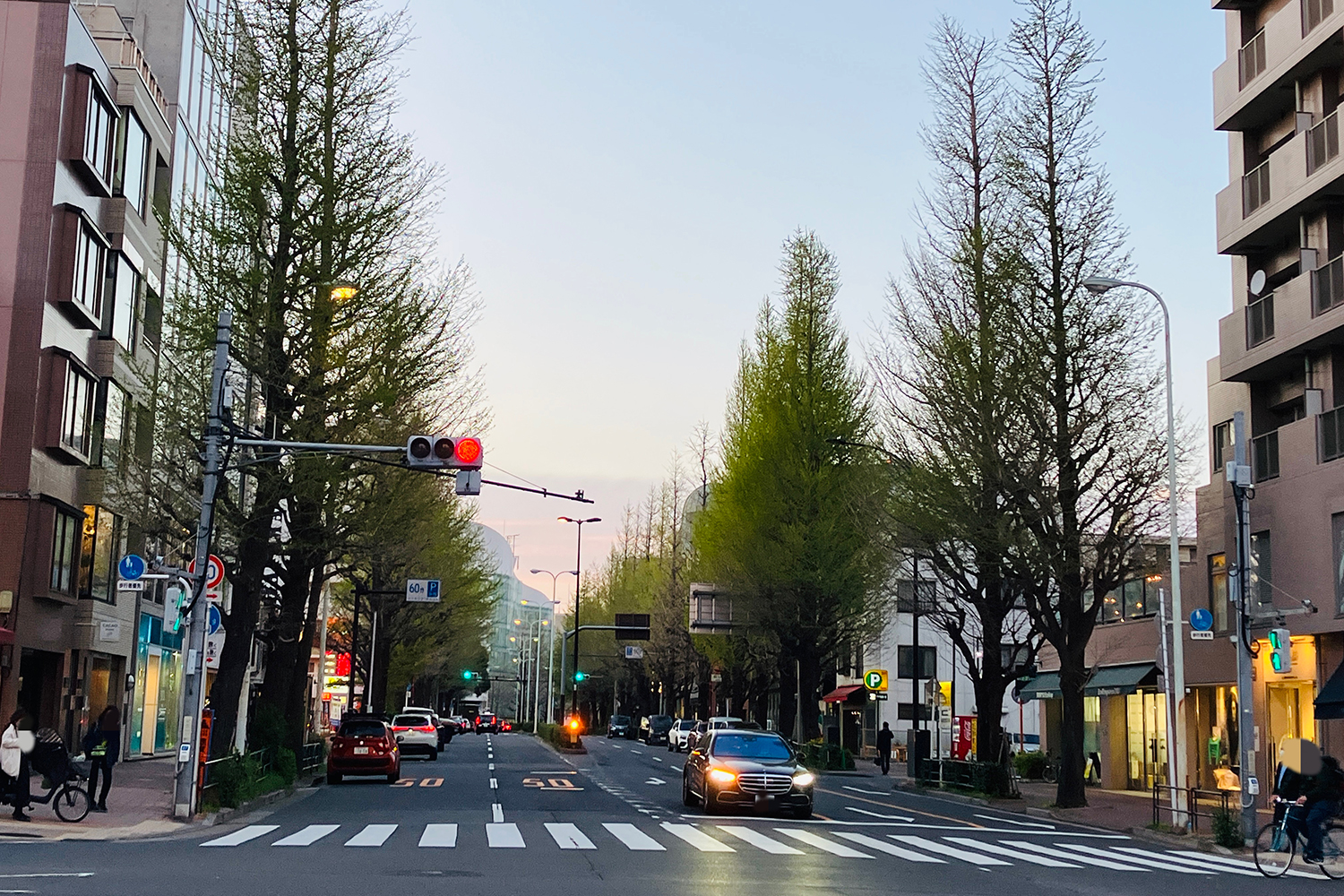 植え込みなどが設置されている写真