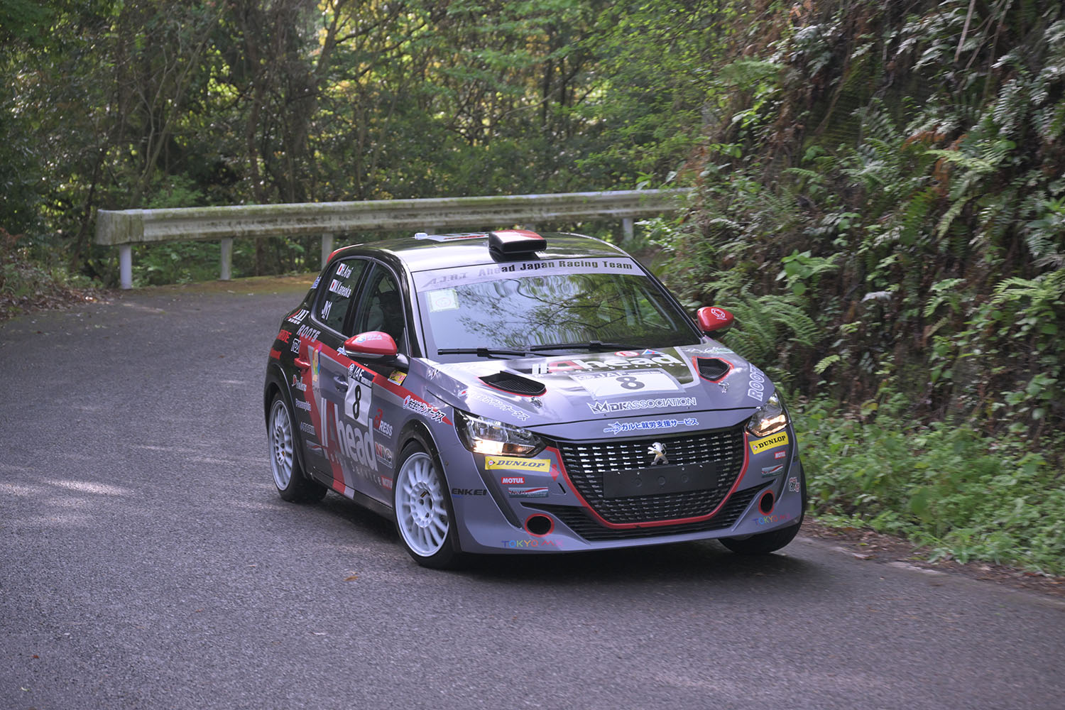 全日本ラリー選手権に参戦する新井大輝選手の「プジョー208 Rally4」の走行写真 〜 画像3