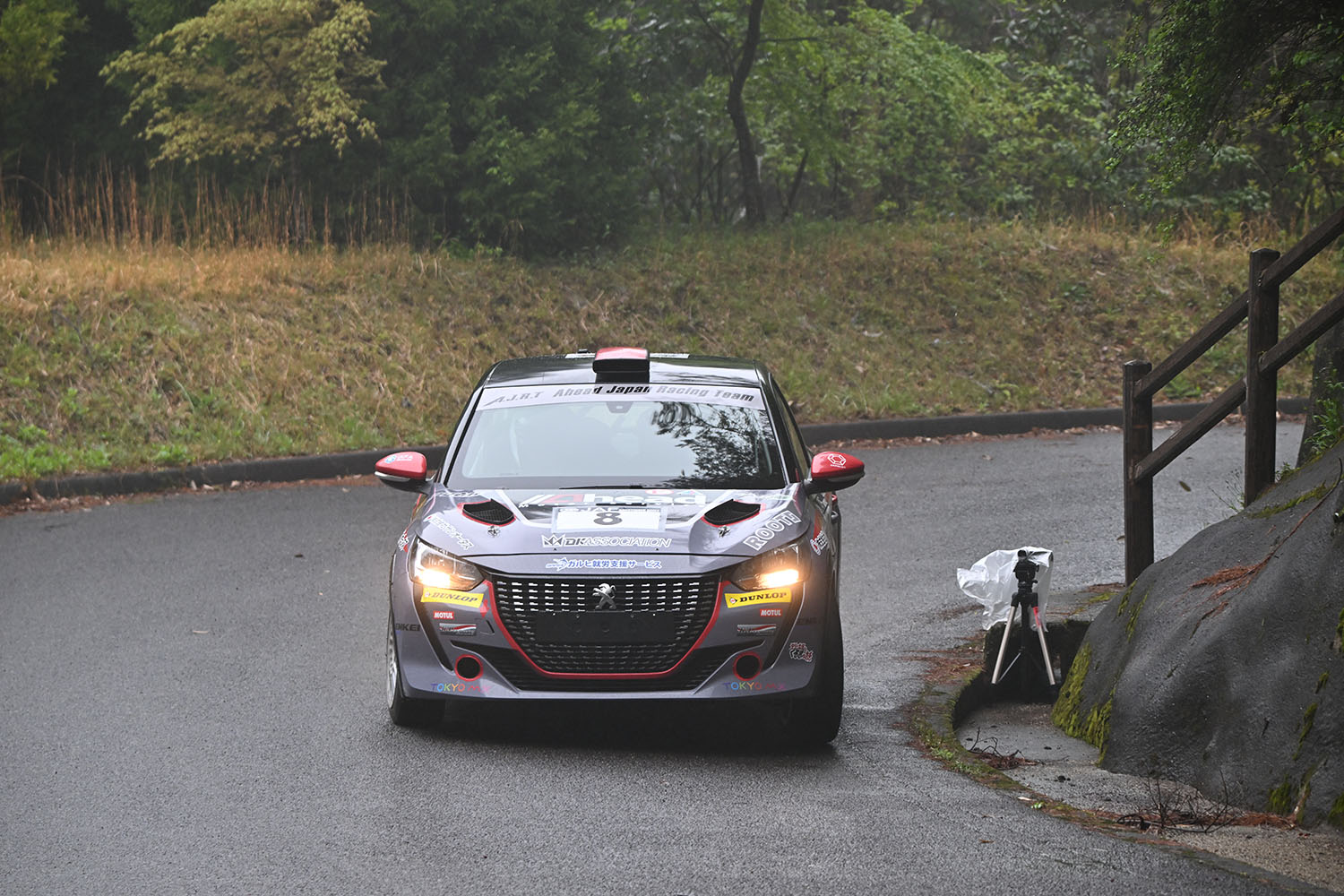 全日本ラリー選手権に参戦する新井大輝選手の「プジョー208 Rally4」の走行写真 〜 画像8