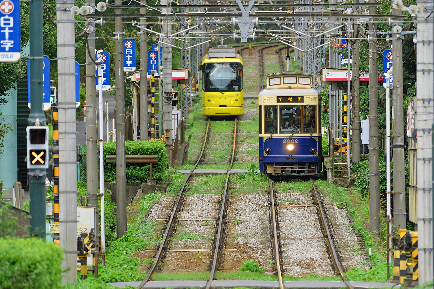 都電荒川線さくらトラム 〜 画像2