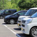 【画像】なんと数百匹が生息した例も！　車内は「ダニだらけ」！　夏を利用した駆除方法とその後の対応策とは 〜 画像4