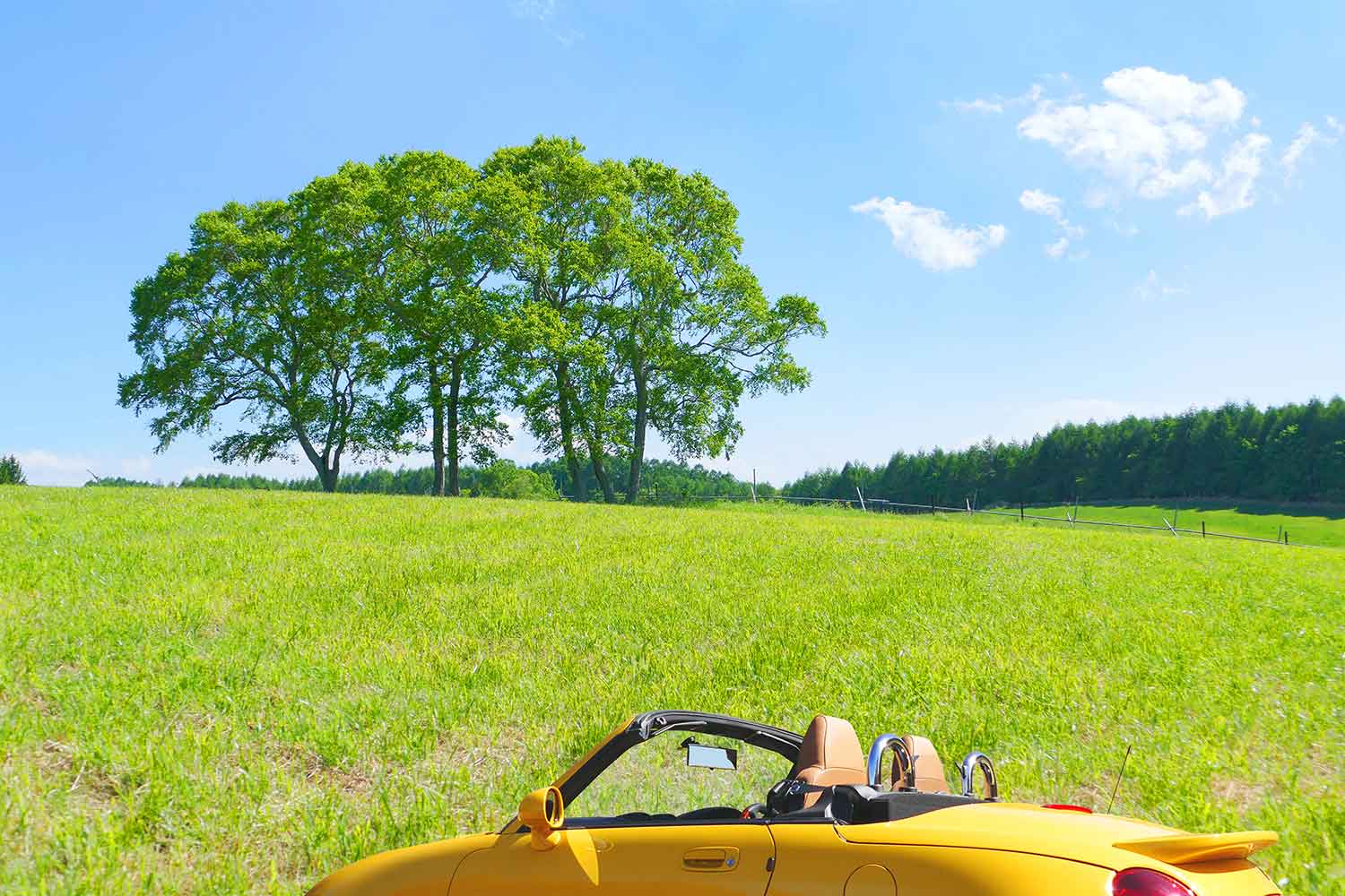 草原で停車している黄色のオープンカーのイメージ写真