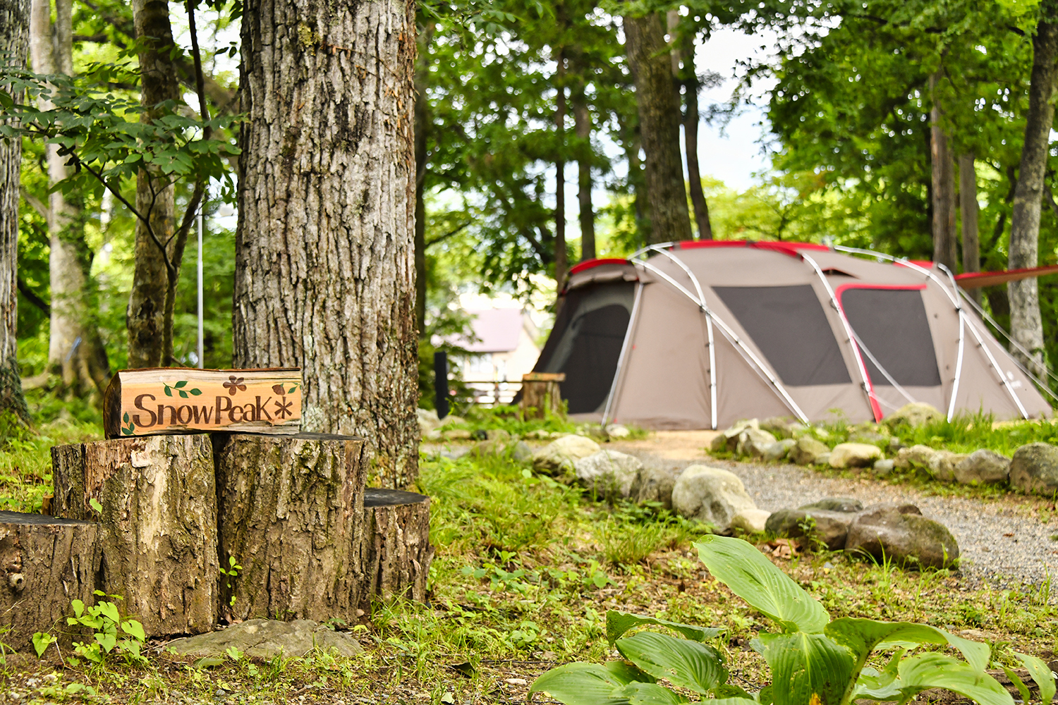 WEB CARTOP編集部の乾ひかりが「SUBARU 手ぶらCAMP by Snow Peak」を体験 〜 画像11