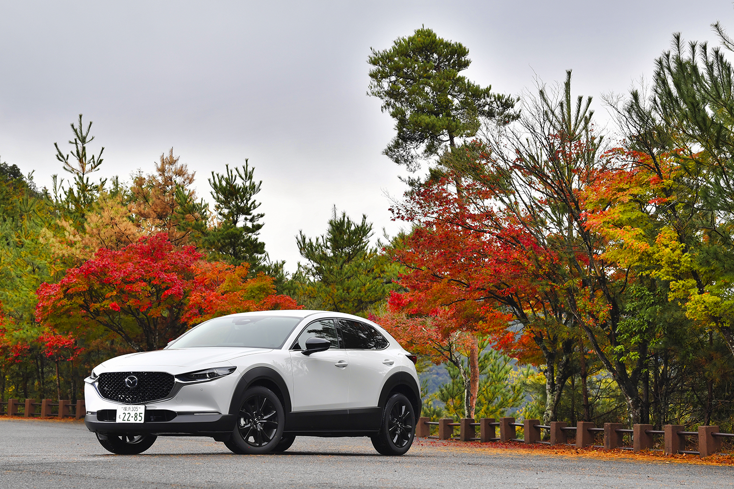 乾ひかりがマツダCX-30のディーゼルモデルで1000kmをドライブ 〜 画像8